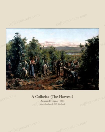A Colheita (The Harvest)