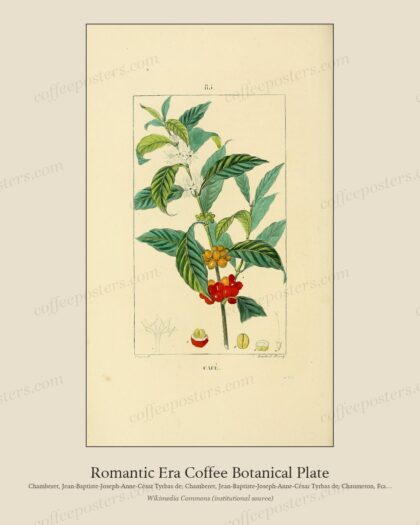 Romantic Era Coffee Botanical Plate