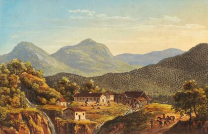 Coffee plantationlabel QS:Len,"Coffee plantation"label QS:Lpt,"Plantação de C… by Friedrich Salathé / After Johann Jacob Steinmann, c. 1839 — archival coffee print from Google Cultural Institute