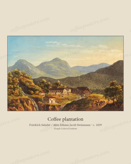 Coffee plantation