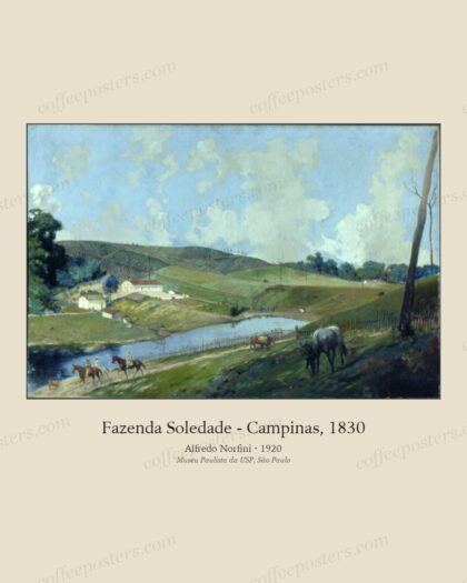 Fazenda Soledade - Campinas, 1830
