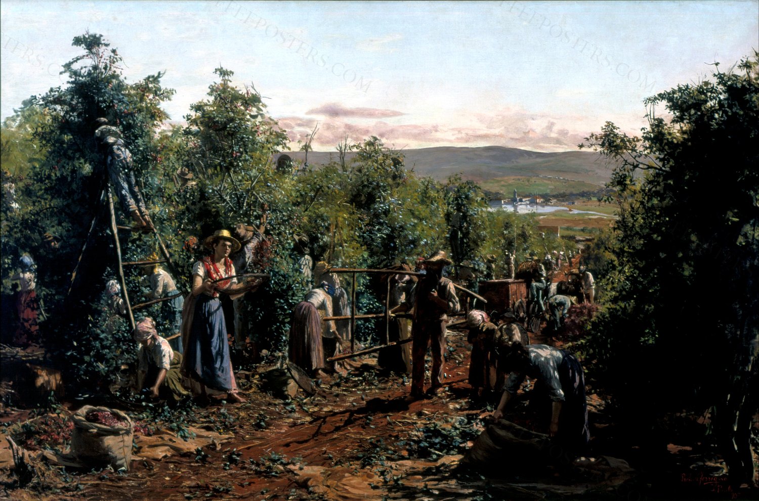 A Colheita by Antonio Ferrigno, 1903 — archival coffee print from Museu Paulista da USP, São Paulo