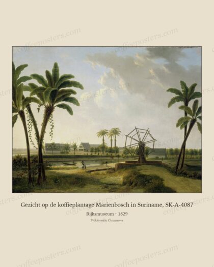 Gezicht op de koffieplantage Marienbosch in Suriname, SK-A-4087