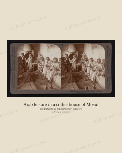 Arab leisure in a coffee house of Mosul