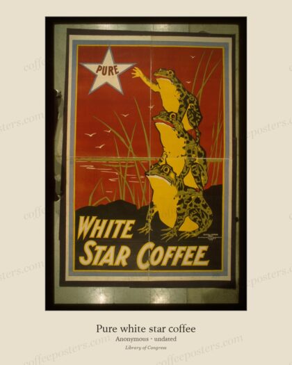 Pure white star coffee