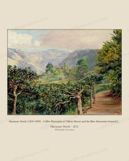 Marianne North (1830-1890) - Coffee Plantation at Clifton Mount and the Blue Mountains beyond Jamaica - MN177 - Marianne
