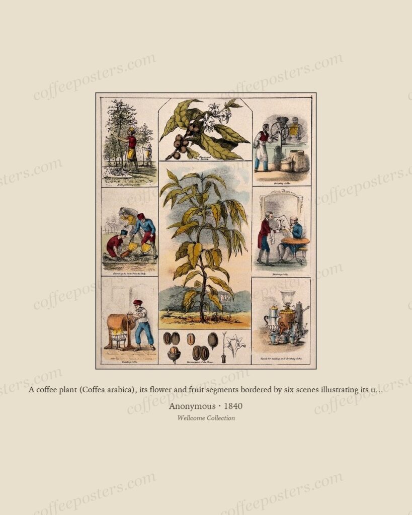 Dutch coffee-trade paintings: VOC era through 19th c.