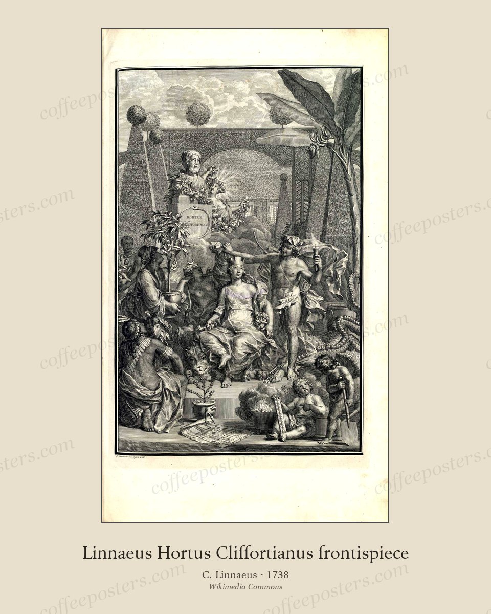 Linnaeus Hortus Cliffortianus frontispiece