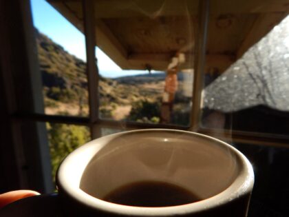 Starr-140917-1896-Coffea arabica-steaming hot coffee in cabin-Holua Hilton HN… by Forest and Kim Starr, 2014 — archival coffee print from Wikimedia Commons (institutional source)