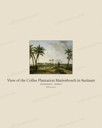 View of the Coffee Plantation Marienbosch in Surinam