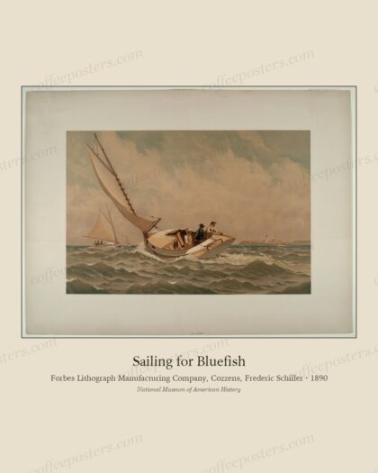 Sailing for Bluefish