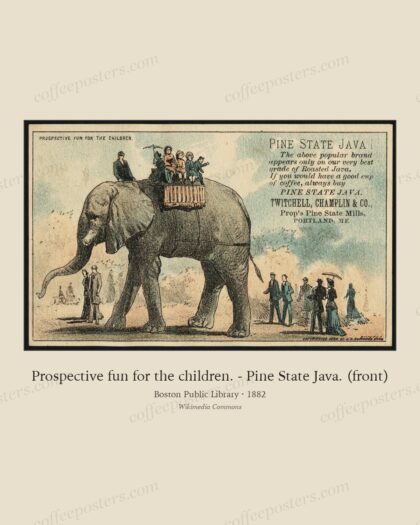 Prospective fun for the children. - Pine State Java. (front)