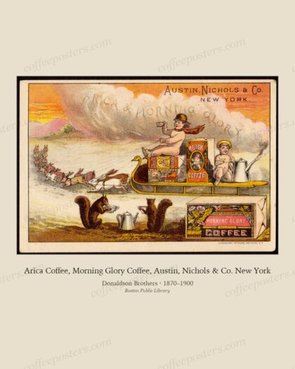 Arica Coffee, Morning Glory Coffee, Austin, Nichols & Co. New York by Donaldson Brothers