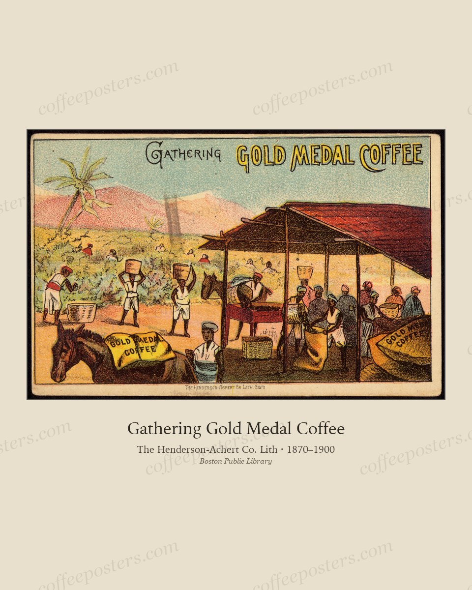 Gathering Gold Medal Coffee