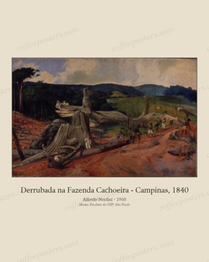 Derrubada na Fazenda Cachoeira - Campinas, 1840