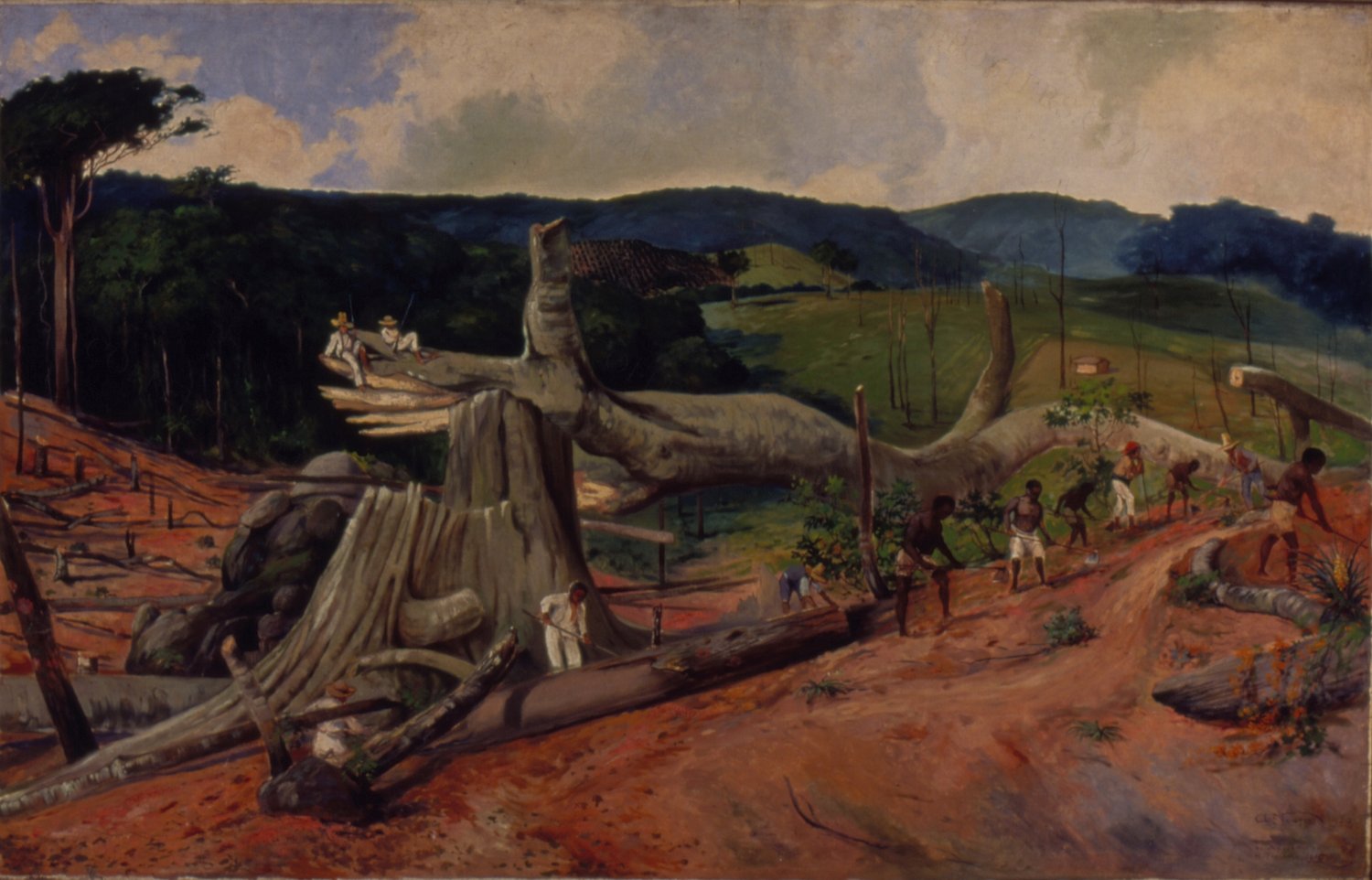 Derrubada na Fazenda Cachoeira - Campinas, 1840label QS:Lpt-br,"Derrubada na … by Alfredo Norfini, 1950 — archival coffee print from Museu Paulista da USP, São Paulo