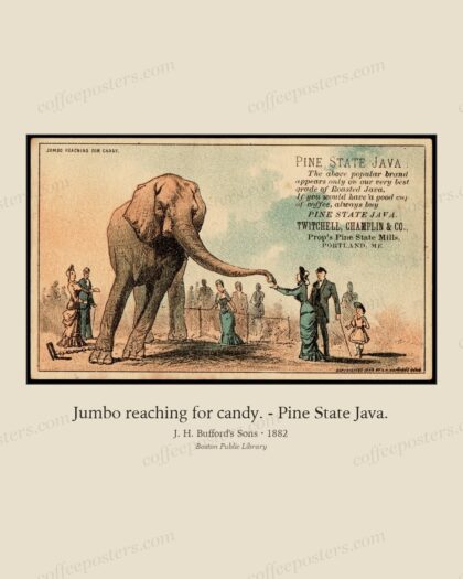 Jumbo reaching for candy. - Pine State Java.