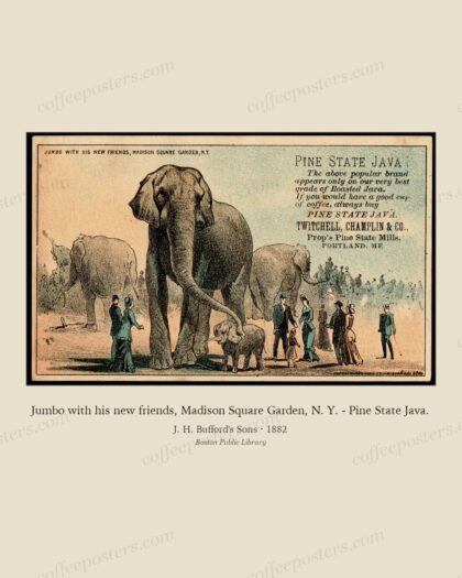 Jumbo with his new friends, Madison Square Garden, N. Y. - Pine State Java.
