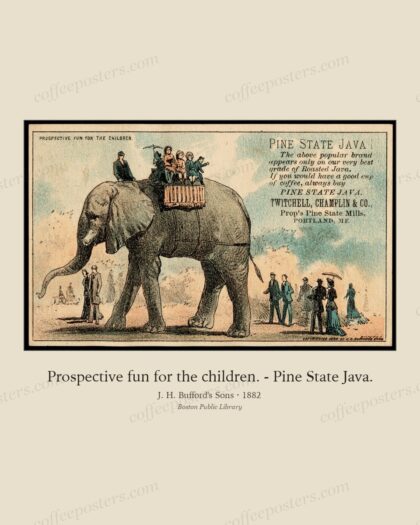 Prospective fun for the children. - Pine State Java.