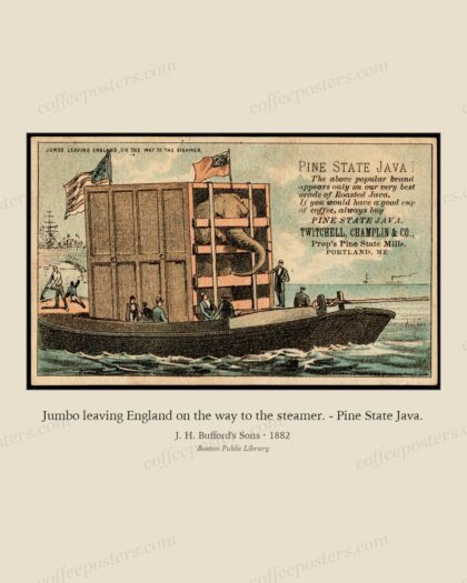 Jumbo leaving England on the way to the steamer. - Pine State Java.