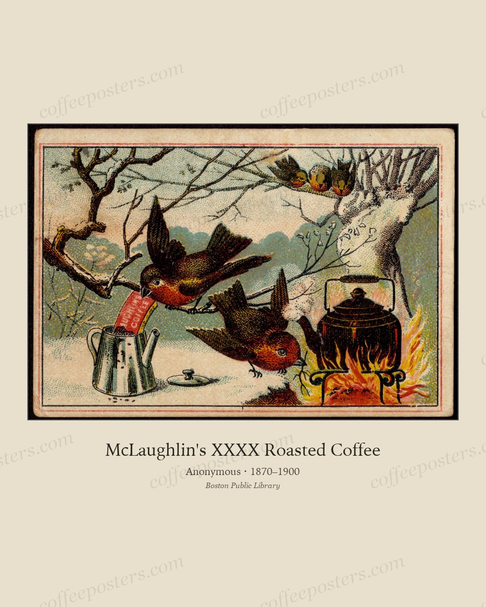 McLaughlin's XXXX Roasted Coffee
