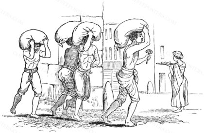 Coffee-carriers of Rio by Sketched by J. Drayton. Engraved by F. E. Worcester, 1838 — archival coffee print from Wikimedia Commons (institutional source)