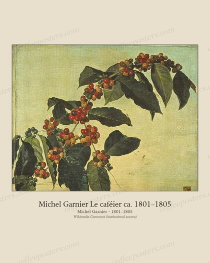 Michel Garnier Le caféier ca. 1801–1805