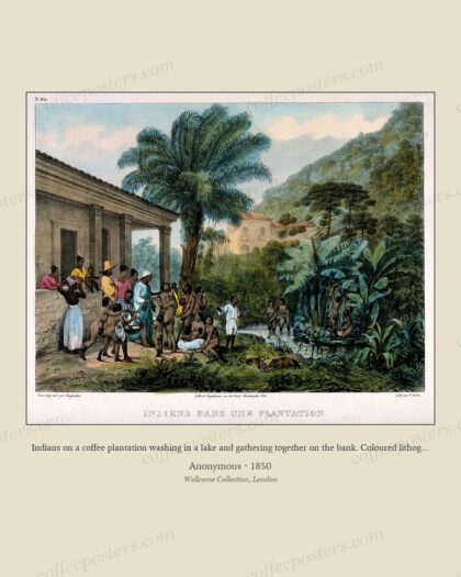 Indians on a coffee plantation washing in a lake and gathering together on the bank. Coloured lithograph by…