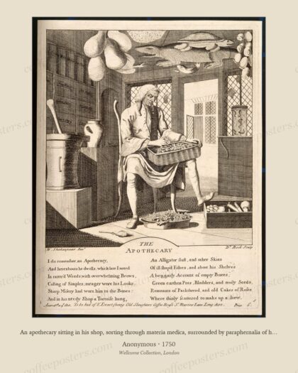 An apothecary sitting in his shop, sorting through materia medica, surrounded by paraphernalia of his profe…