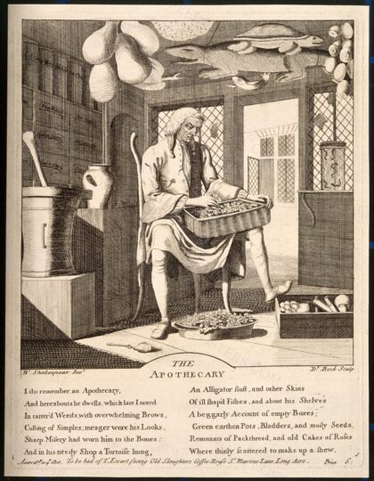 An apothecary sitting in his shop, sorting through materia medica, surrounded by paraphernalia of his profe…
