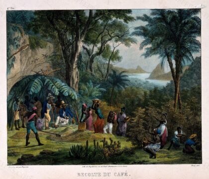 Workers harvesting the crop on a coffee plantation. Coloured lithograph by Deroi, c. 1850, after J. M. Ruge…