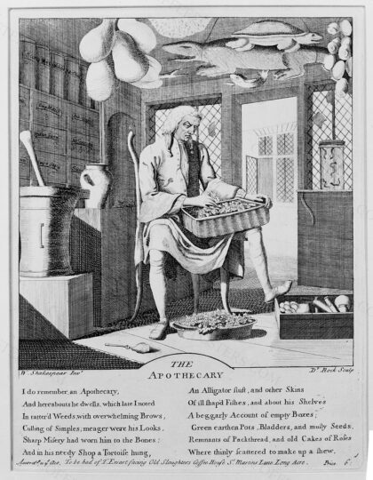 An apothecary sitting in his shop, sorting through materia medica, surrounded by paraphernalia of his profe…