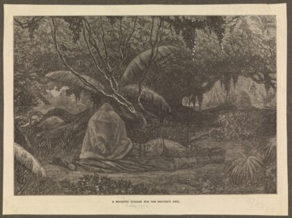 Ashanti War, Ghana, 1873: a British soldier resting beneath a mosquito net in a tropical landscape. Wood en…