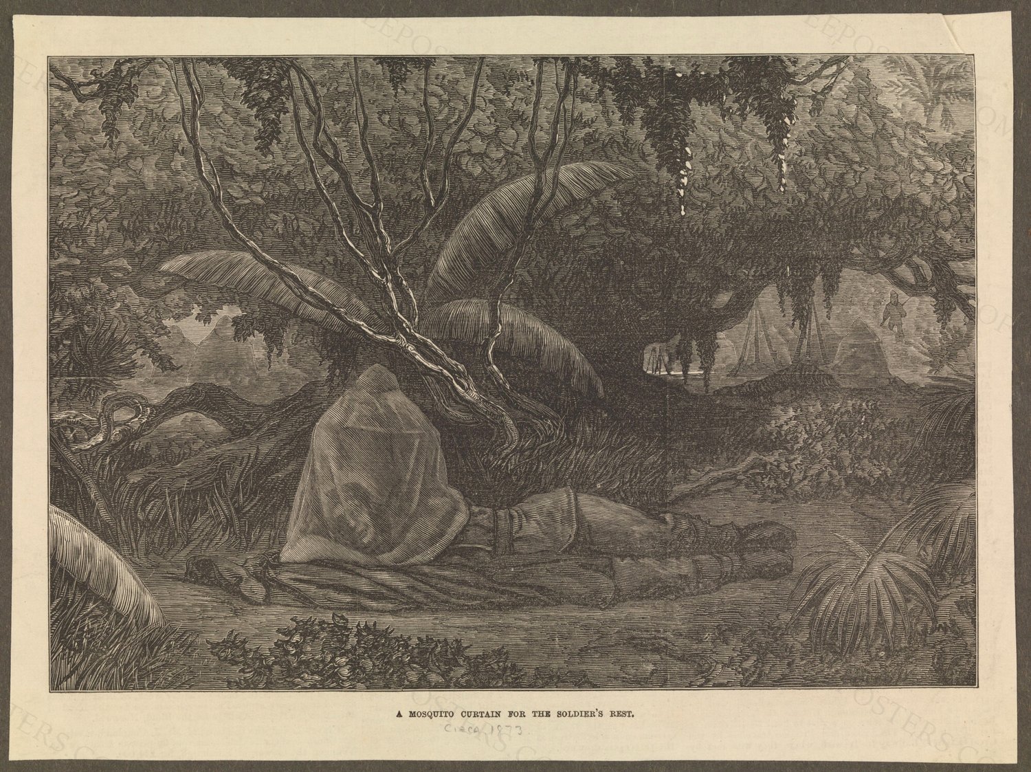 Ashanti War, Ghana, 1873: a British soldier resting beneath a mosquito net in a tropical landscape. Wood en…