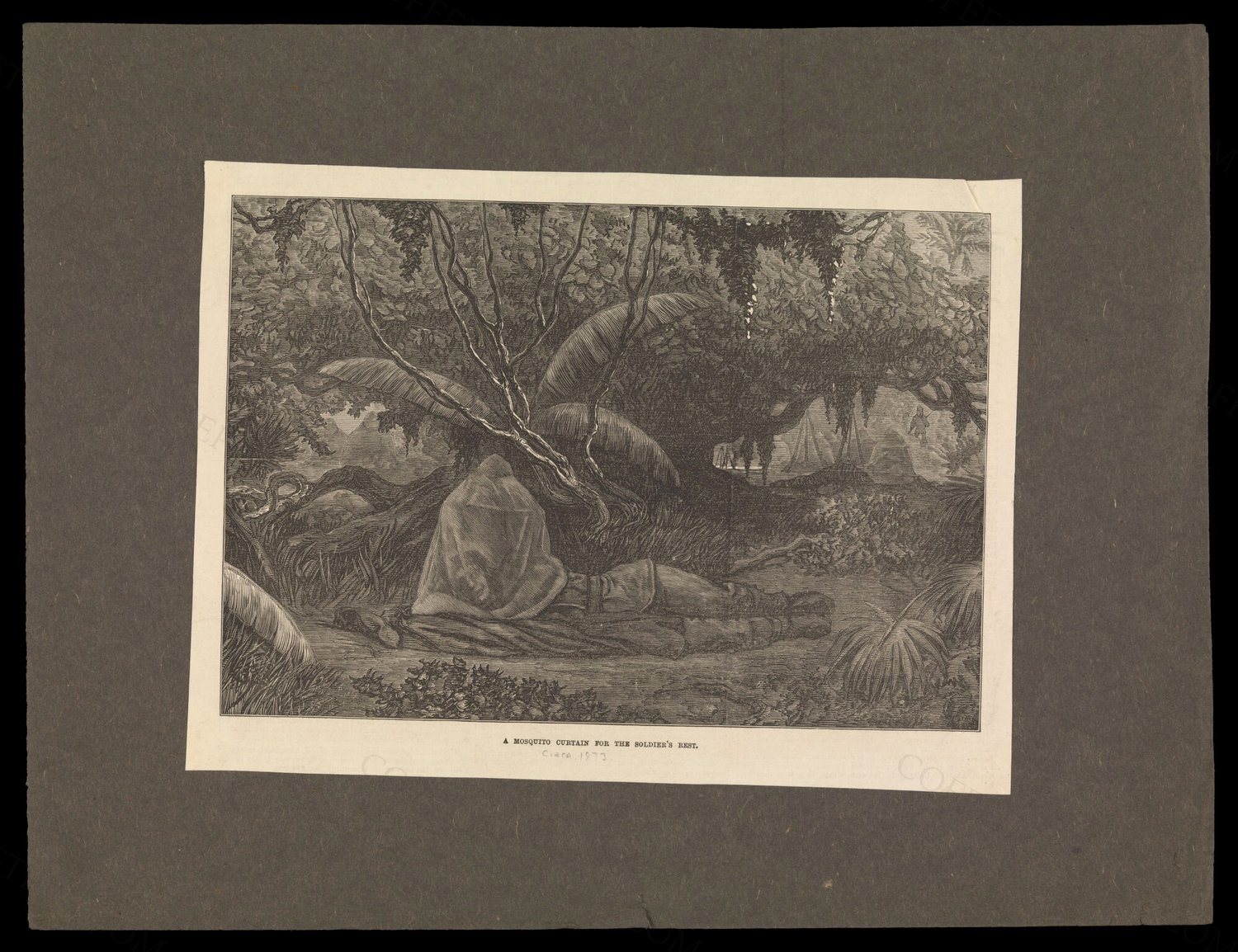 Ashanti War, Ghana, 1873: a British soldier resting beneath a mosquito net in a tropical landscape. Wood en…