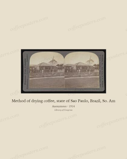 Method of drying coffee, state of Sao Paulo, Brazil, So. Am