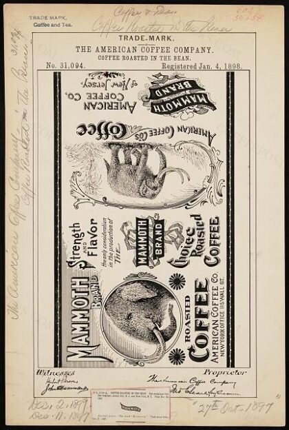 [Trademark registration by The American Coffee Company for Mammoth Brand Coffee Roasted In The Bean]