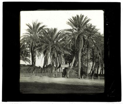 Fonds Georges Maroniez. Plaques de verre, négatifs souples, autochromes, daguerréotypes, diapositives, pris…