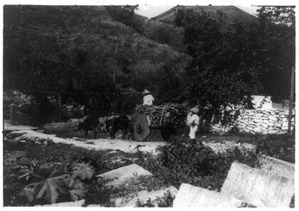 Carrying wood for use in the furnace of a coffee mill