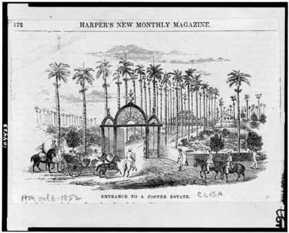 Entrance to a coffee estate