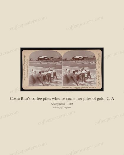 Costa Rica's coffee piles whence come her piles of gold, C. A