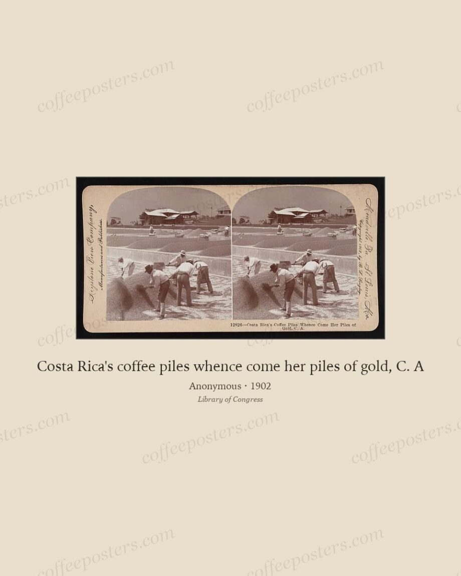 Costa Rica's coffee piles whence come her piles of gold, C. A
