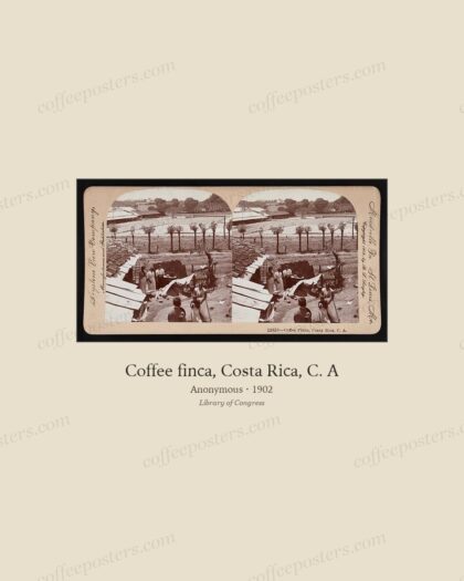 Coffee finca, Costa Rica, C. A